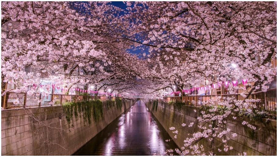 nakameguro-tokyo